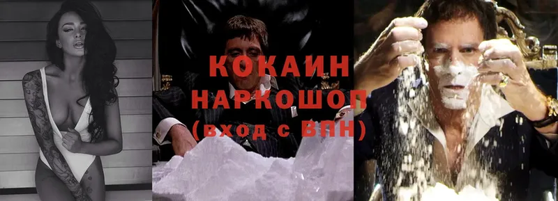 наркотики  Сургут  COCAIN FishScale 