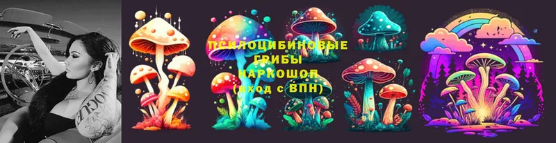 Галлюциногенные грибы Psilocybine cubensis  Сургут 